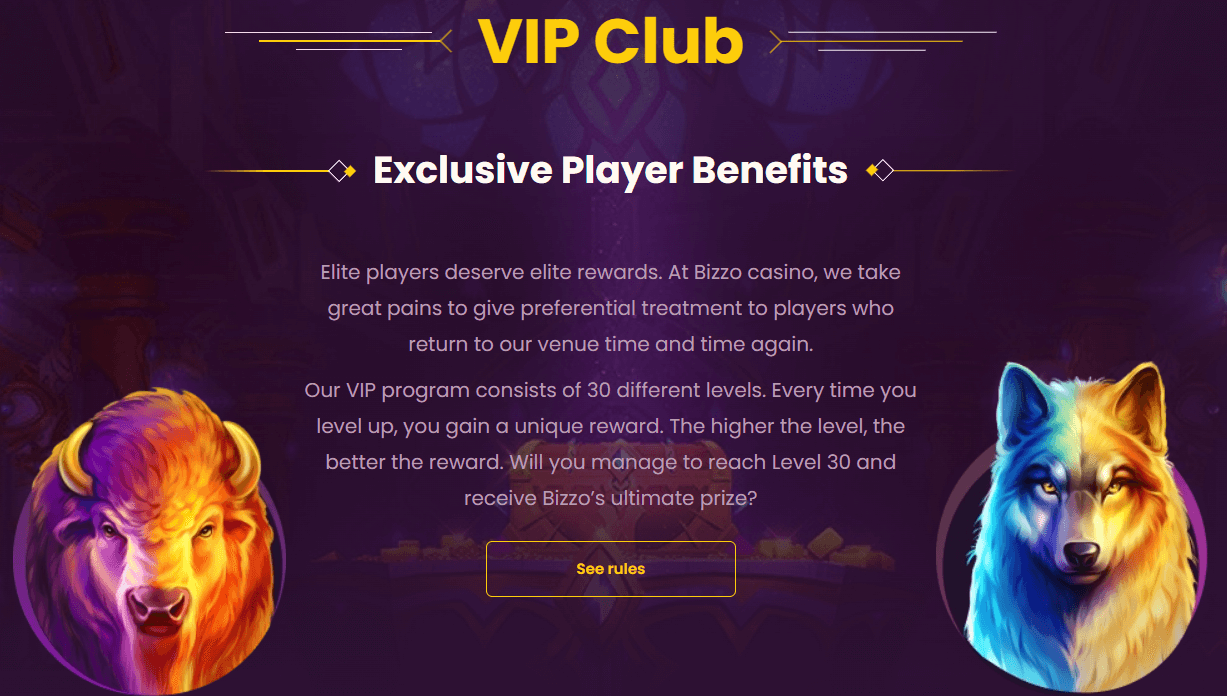 Bizzo Casino VIP club