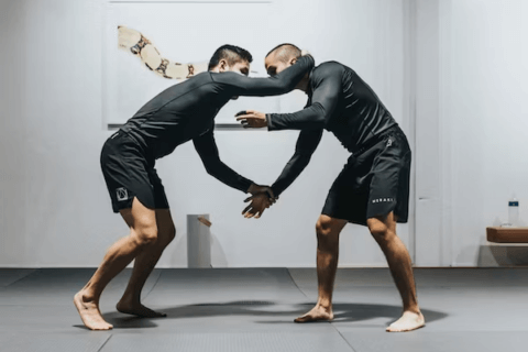 NZ UFC Fighters