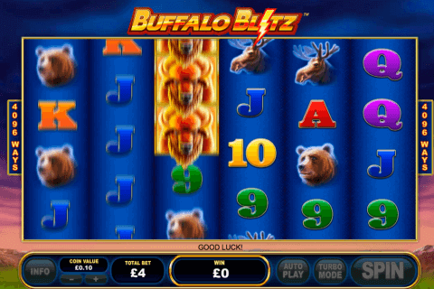 buffalo blitz playtech pokie
