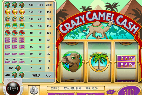 crazy camel cash rival pokie