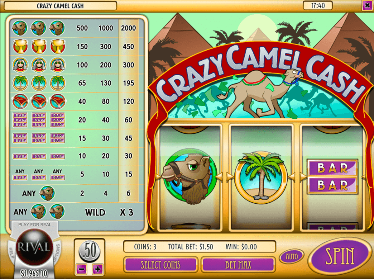 crazy camel cash rival pokie