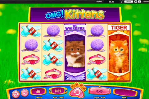omg kittens wms pokie