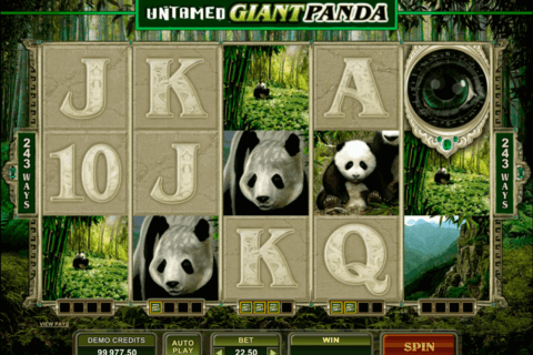 untamed giant panda microgaming pokie