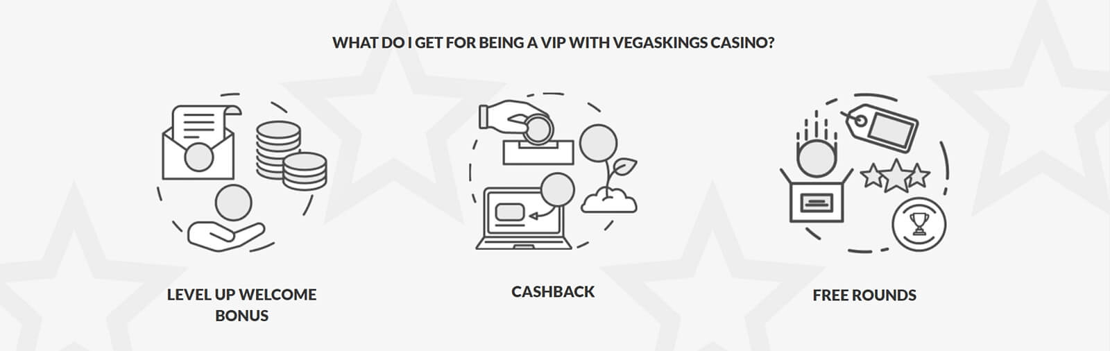 VegasKigns VIP Program