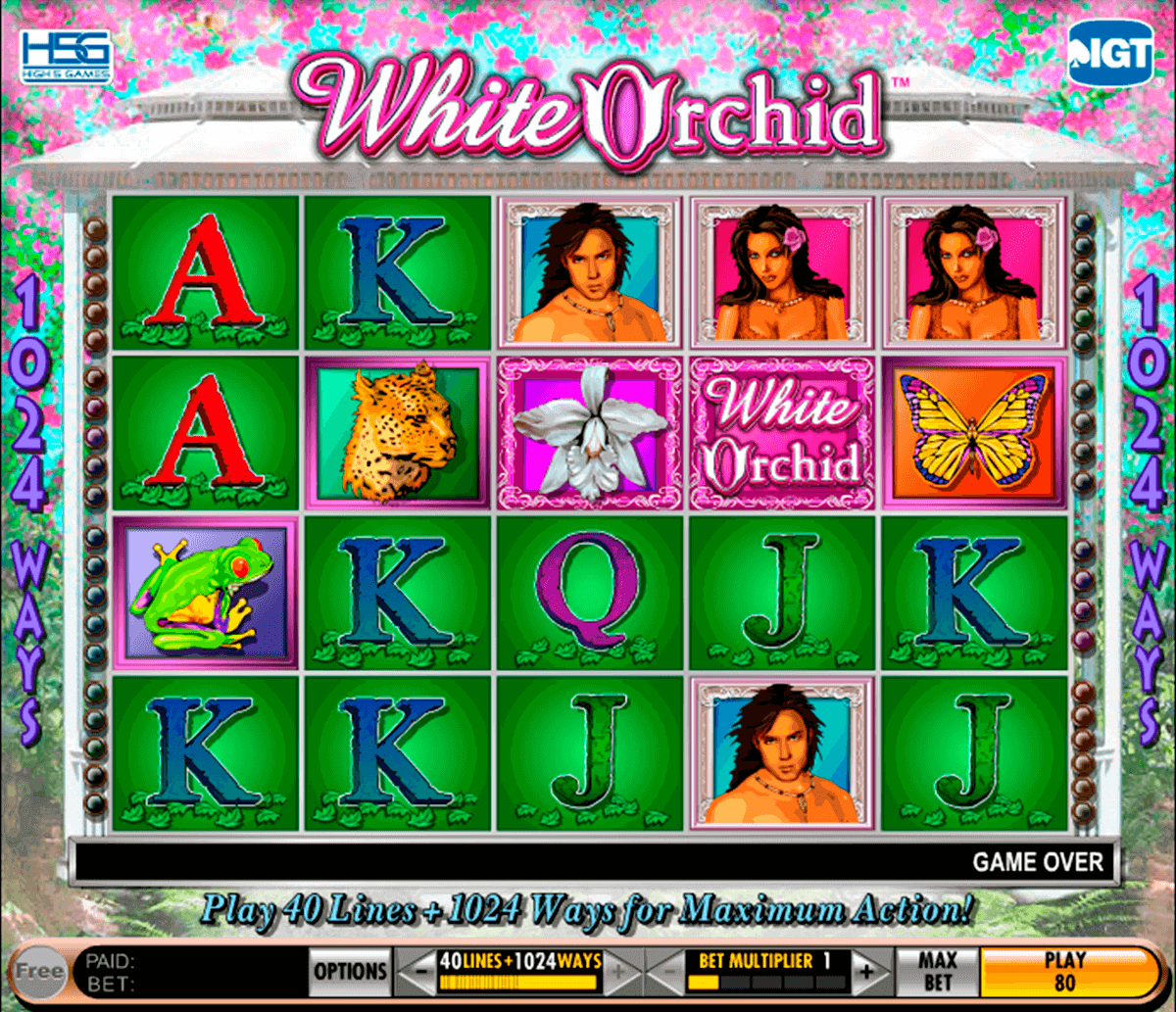 white orchid igt pokie 